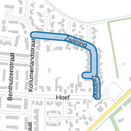 Zwijning