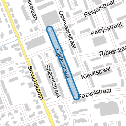Lijsterstraat