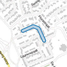 Goudenregenstraat