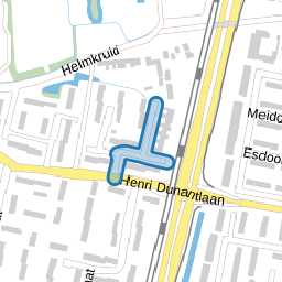 Dotterbloemstraat