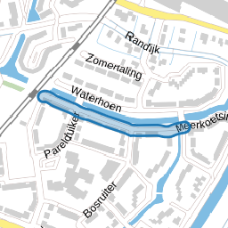 Goudpluviersingel