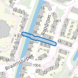 Ringmus