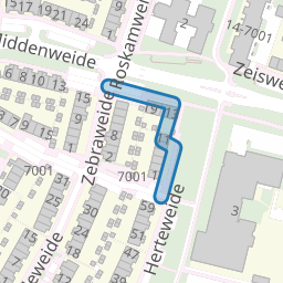 Tapirweide