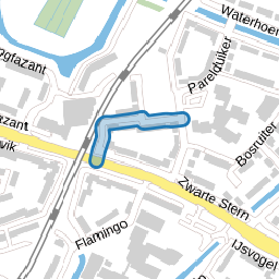 Zilvermeeuw