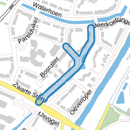 Zwanensingel