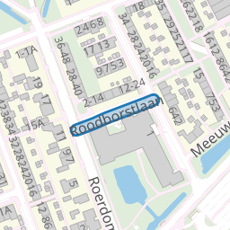 Roodborstlaan