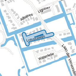 Lotusbloem
