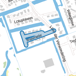 Waterlelie
