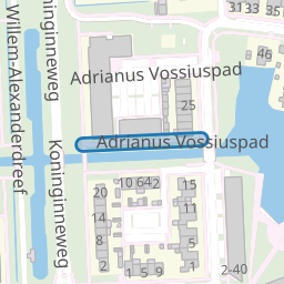 Adrianus Vossiuspad