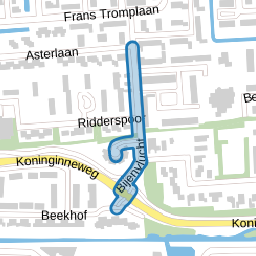 Bijenvlucht
