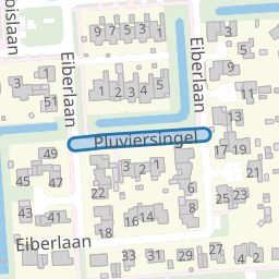 Pluviersingel