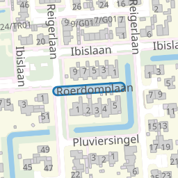Roerdomplaan