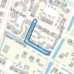 Abrikoos