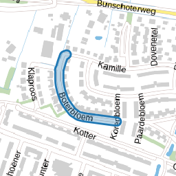 Boterbloem