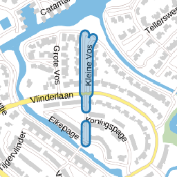 Kleine Vos
