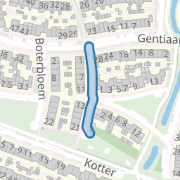Paardebloem