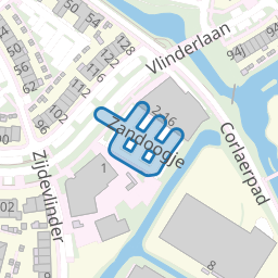Zandoogje