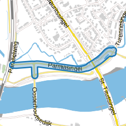 Parmasingel