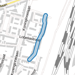 Anjelierenweg