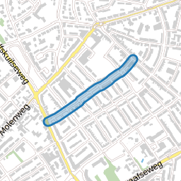 Bosbesstraat
