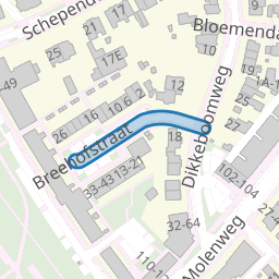 Breehofstraat