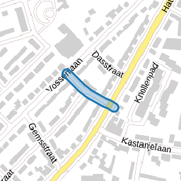 Eekhoornstraat