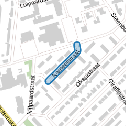 Kameelstraat