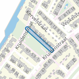 Korianderpad