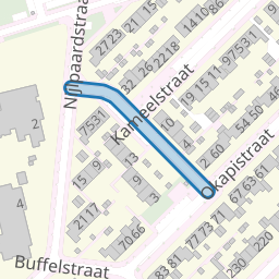Neushoornstraat