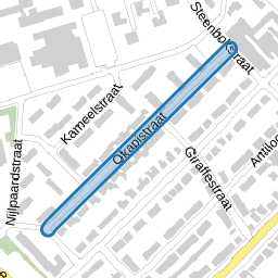 Okapistraat