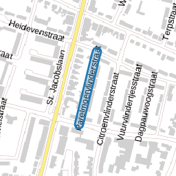Parelmoervlinderstraat