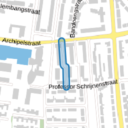 Professor Hoogveldstraat