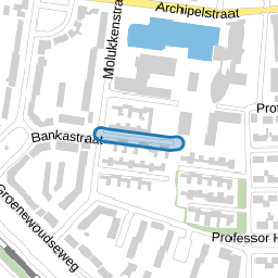 Professor Rogierstraat