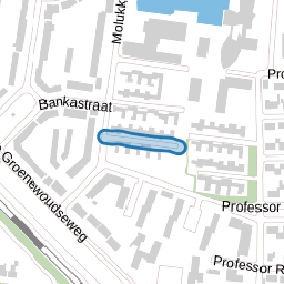 Professor Schlichtingstraat