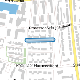 Professor van Ginnekenstraat