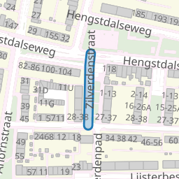Zilverdenstraat