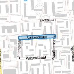 Berkenstraat