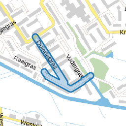 Duinrietgras