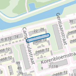 Kamillepad