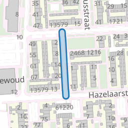 Ligusterstraat