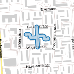 Prunusstraat