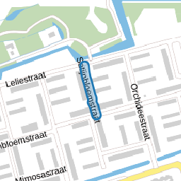 Satijnbloemstraat