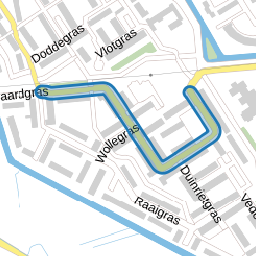 Schaduwgras