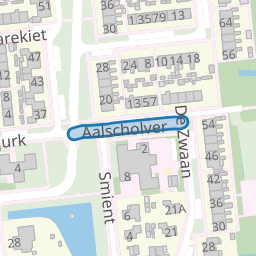 Aalscholver