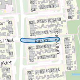 Fazant