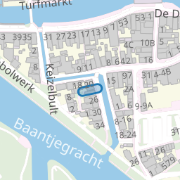 Haantjerid