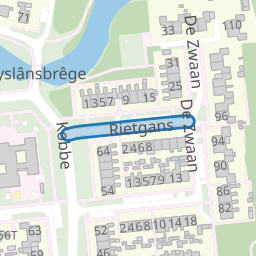 Rietgans