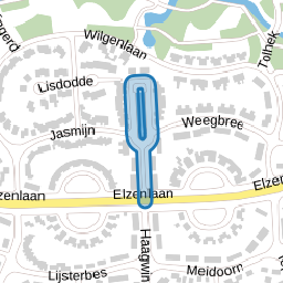 Waterranonkel