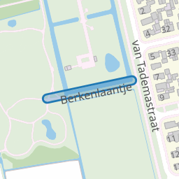 Berkenlaantje