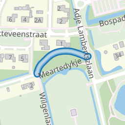 Meartedykje